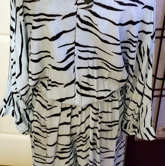 Zebra Print Jumpsuit & Zebra Print Shoes - Picture 1 of 6